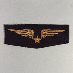 AVIATION INSIGNE DE POITRINE DE PILOTE POUR TENUE BLEUE FABRICATION ANCIENNE AVEC ETOILE ANNEES 1940 1950